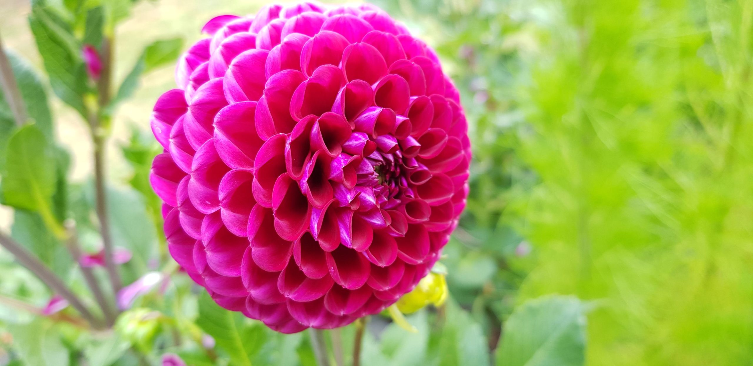 Our report card for the first year